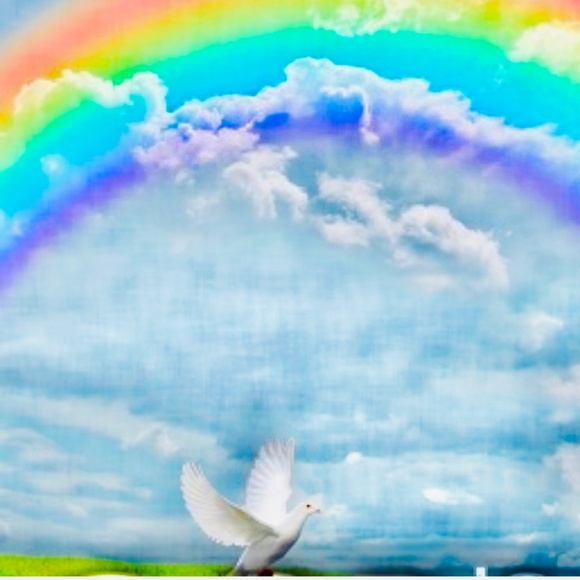 Meet your Posher, Rosana - Picture 1 of 1